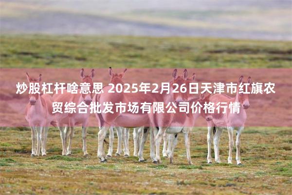 炒股杠杆啥意思 2025年2月26日天津市红旗农贸综合批发市场有限公司价格行情