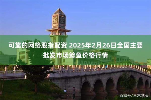 可靠的网络股指配资 2025年2月26日全国主要批发市场鲶鱼价格行情