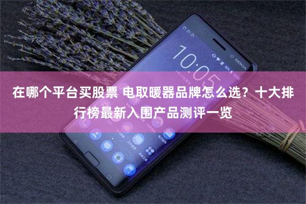 在哪个平台买股票 电取暖器品牌怎么选？十大排行榜最新入围产品测评一览