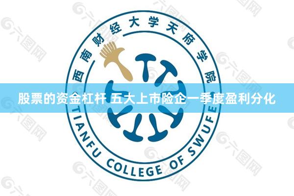 股票的资金杠杆 五大上市险企一季度盈利分化