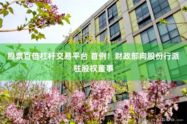 股票百倍杠杆交易平台 首例！财政部向股份行派驻股权董事