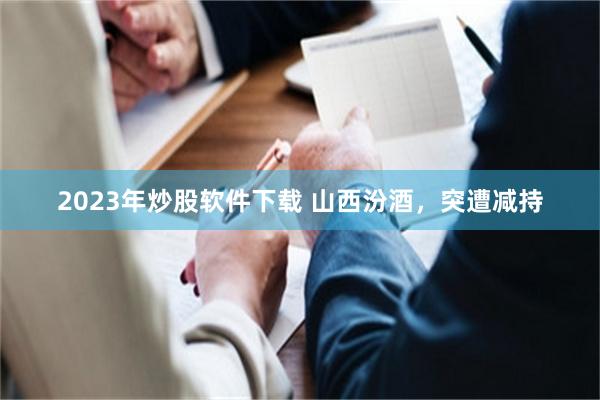 2023年炒股软件下载 山西汾酒，突遭减持