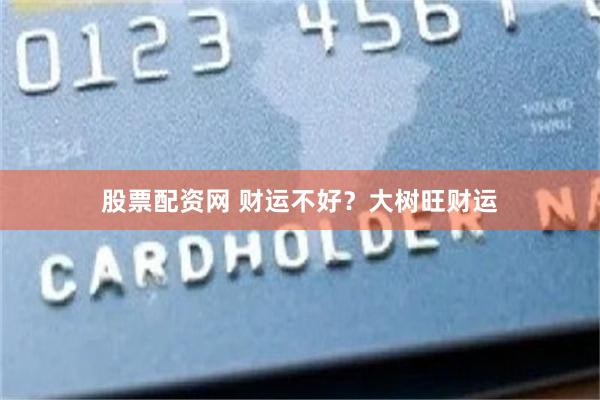 股票配资网 财运不好？大树旺财运
