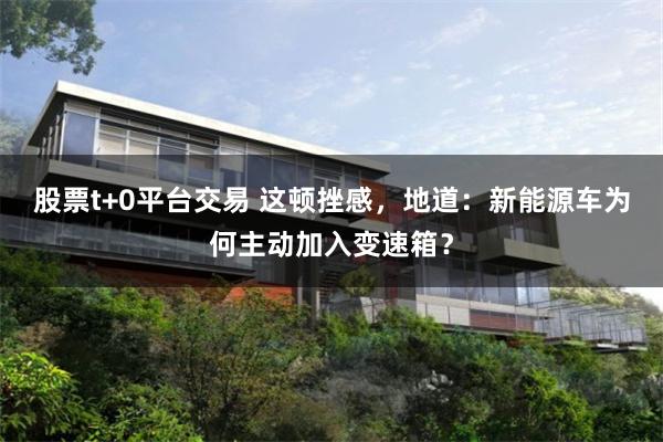 股票t+0平台交易 这顿挫感，地道：新能源车为何主动加入变速箱？