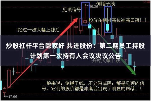 炒股杠杆平台哪家好 共进股份：第二期员工持股计划第一次持有人会议决议公告